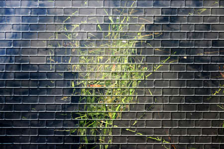 abstract background scene with element of the nature