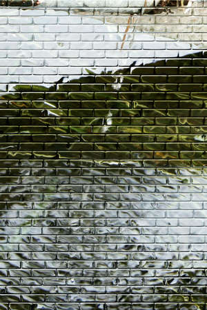 abstract background scene with element of the natureの写真素材