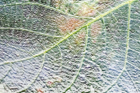 abstract scene background