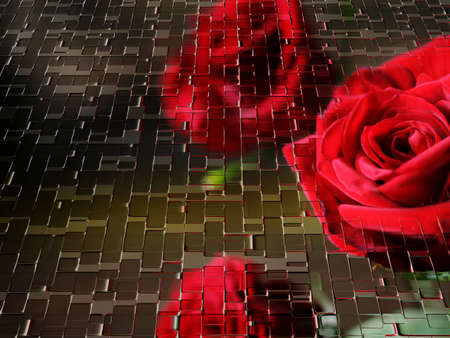 abstract background with flower roseの写真素材