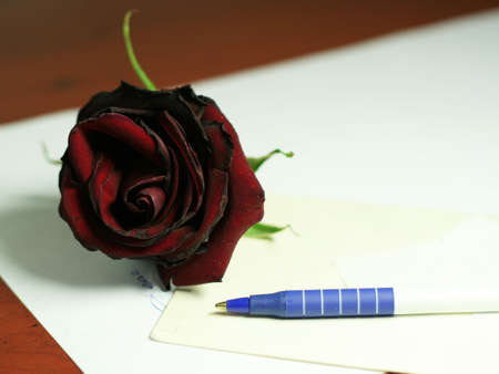 dark red rose and accesories for writing letterの写真素材
