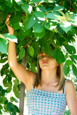 making look younger girl collects harvest in gardenの写真素材