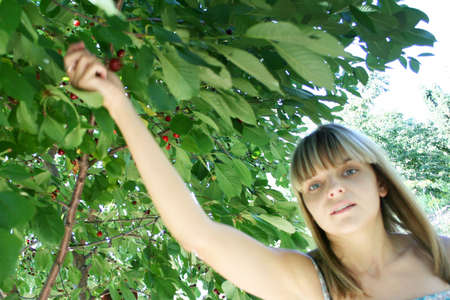 making look younger girl collects harvest in gardenの写真素材