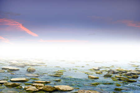 sea coastの写真素材