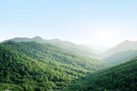 mountainの写真素材