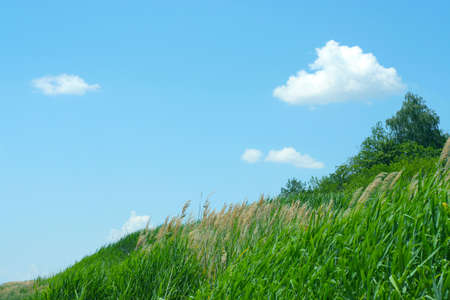 coast river on background skyの写真素材