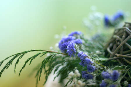 abstract background with flowersの写真素材