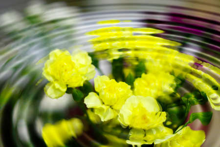 abstract scene with flowers
