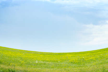 green meadow and blue sky as summer backgroundの写真素材