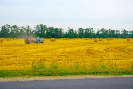 scene with grain field