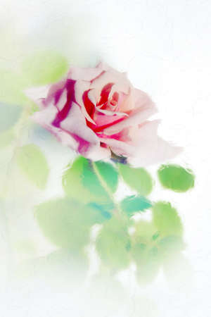 abstract with flower as floral background の写真素材
