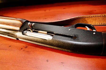 abstract handgun for hunt on beast の写真素材