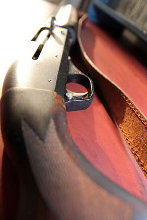 abstract scene with handgun for hunting on beast 