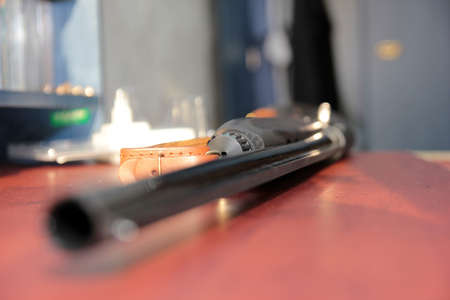 handgun for hunting on beast 