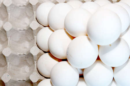 scene chicken egg built for transportation or keepingの写真素材