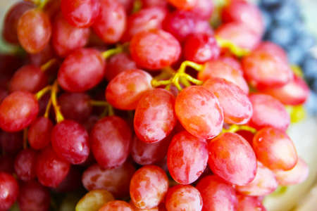 scene ripe beautiful grape as symbol year harvestの写真素材
