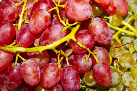 ripe beautiful grape as symbol year harvest
