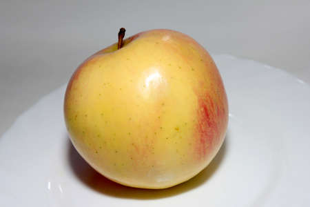 scene beautiful ripe apple as symbol summerの写真素材