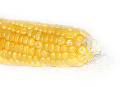 scene ripe corn as element health feeding