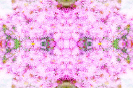 floral texture as element decorative unceasing patternの写真素材