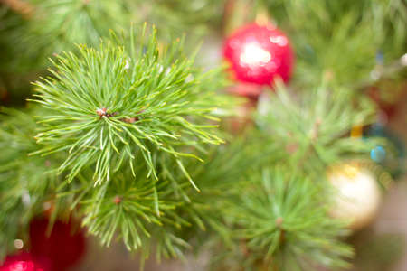 scene beautiful cristmas decoration as element holiday  の写真素材