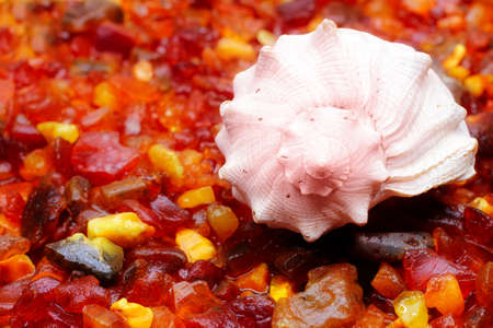 pieces of raw amber and sea seashellの写真素材