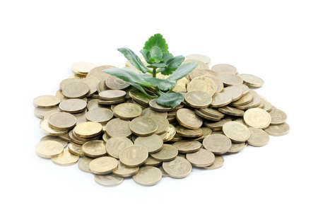 Tender little green sprout and metallic coins rouble