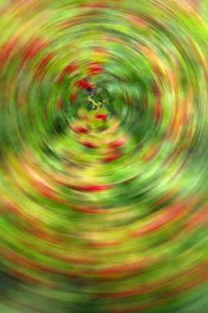 Abstract colorful background image with floral elements