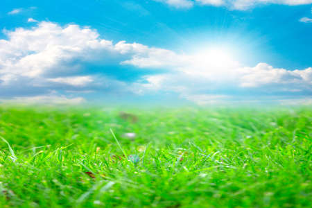 beautiful bright green meadow and sunny summer skyの写真素材