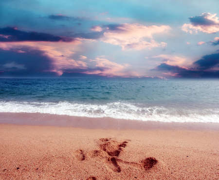 Beautiful sandy beach on the coast seaの写真素材