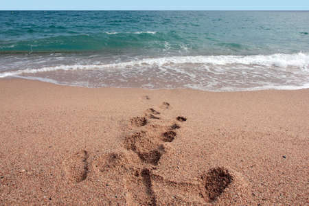 Beautiful sandy beach on the coast seaの写真素材