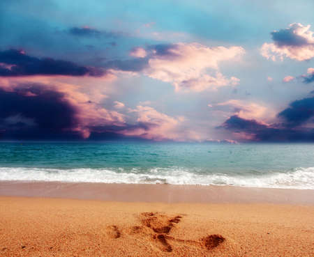 Beautiful sandy beach on the coast seaの写真素材