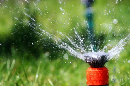 a water spray sprinkler as a tool to irrigate grassの写真素材