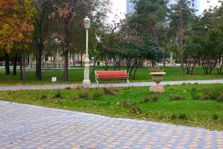 Wooden garden bench in a city parkの写真素材