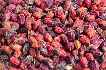 Dried fruits of wild rose prepared for recyclingの写真素材