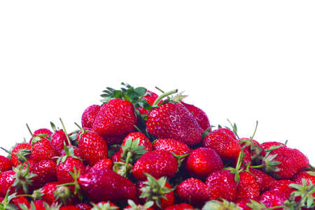 Harvest ripe berry beautiful juicy red strawberries