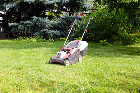 electric lawn mower and a beautiful lush grass