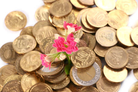 lovely pink decorative flower kalanchoe and a bunch of gold coins Russian moneyの写真素材