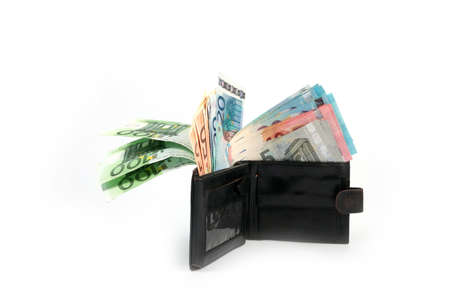 Euro paper bills in a leather purse as an element of conservation and trade system
