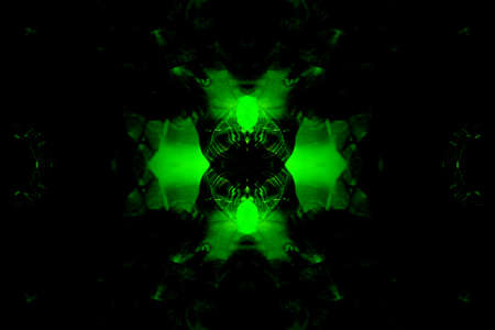 Symmetrical colorful fancy patterns obtained from photographing wildlife through mirrorsの写真素材