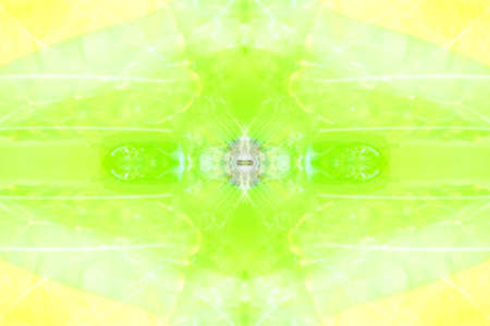 Symmetrical colorful fancy patterns obtained from photographing wildlife through mirrorsの写真素材