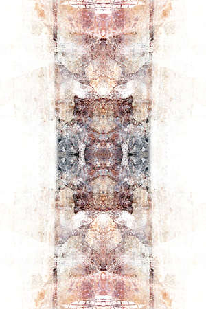 Symmetrical patterns created when photographing wildlife with the help of a mirror systemの写真素材