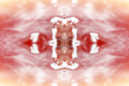 Symmetrical patterns created when photographing wildlife with the help of a mirror system
