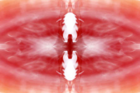 Symmetrical patterns created when photographing wildlife with the help of a mirror systemの写真素材