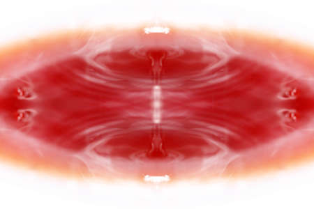 Symmetrical patterns created when photographing wildlife with the help of a mirror systemの写真素材