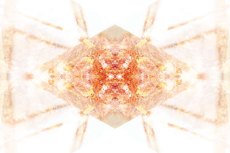 Symmetrical patterns created when photographing wildlife with the help of a mirror systemの写真素材