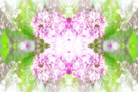 Abstract symmetrical textures created with a mirror systemの写真素材