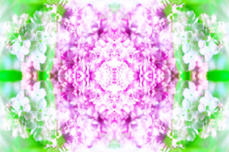 Abstract symmetrical textures created with a mirror systemの写真素材