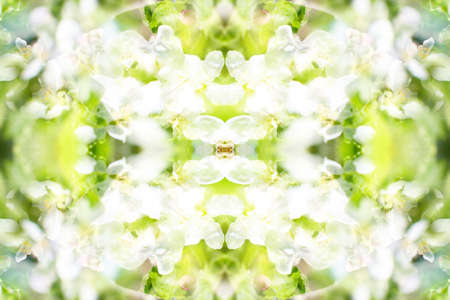 Abstract symmetrical textures created with a mirror systemの写真素材