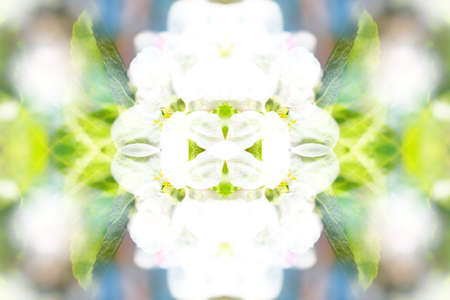 Abstract symmetrical textures created with a mirror systemの写真素材